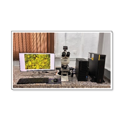 Optical Microscope