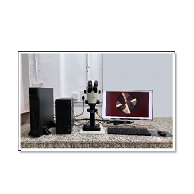 Stereo Microscope